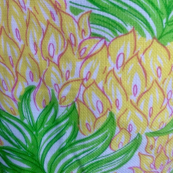 Lilly Pulitzer Skirt Sz 2 Pineapple Tropical Fruit - Picture 5 of 8